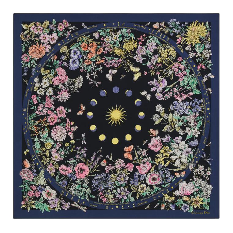 

DIOR Шарф из шелка тутового шелкопряда Unisex Multicolor