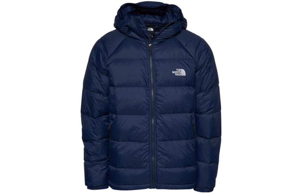 

THE NORTH FACE Мужской пуховик, цвет Blue