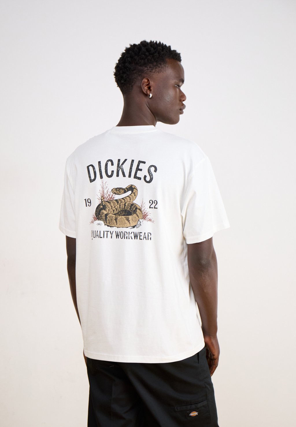 

Футболка с принтом SNAKE TEE Dickies, белый