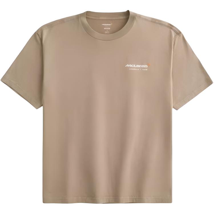 

Hollister Футболка мужская светло-коричневая Light Brown, Коричневый, Hollister Футболка мужская светло-коричневая Light Brown