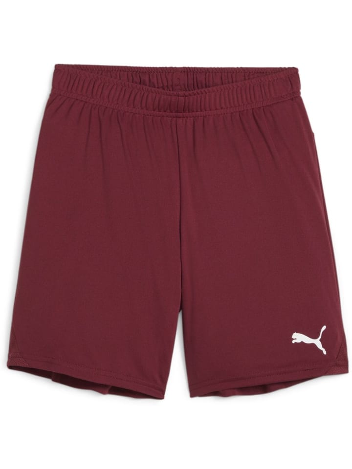 

Спортивные шорты TeamGoal Shorts Jr красного цвета Puma
