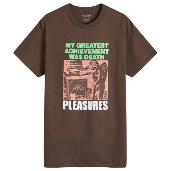 

Футболка Вулфи Pleasures, коричневый