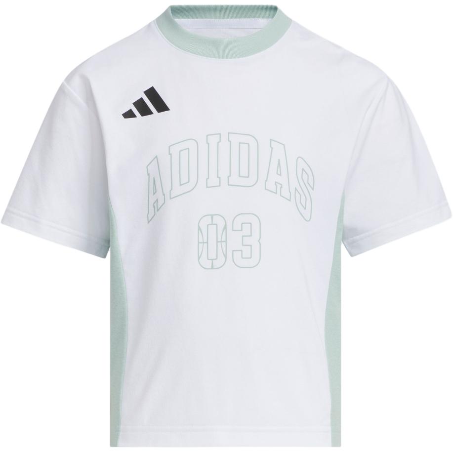 

Adidas Футболка climacool белый/светло-зеленый дети 3-7 лет