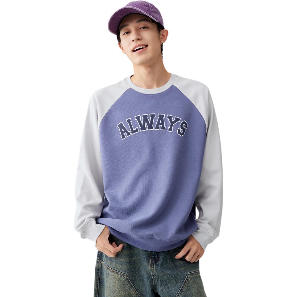 

361° Свитшот мужской Portulaca Purple/Lighthouse Gray с круглым вырезом Moderate Regular