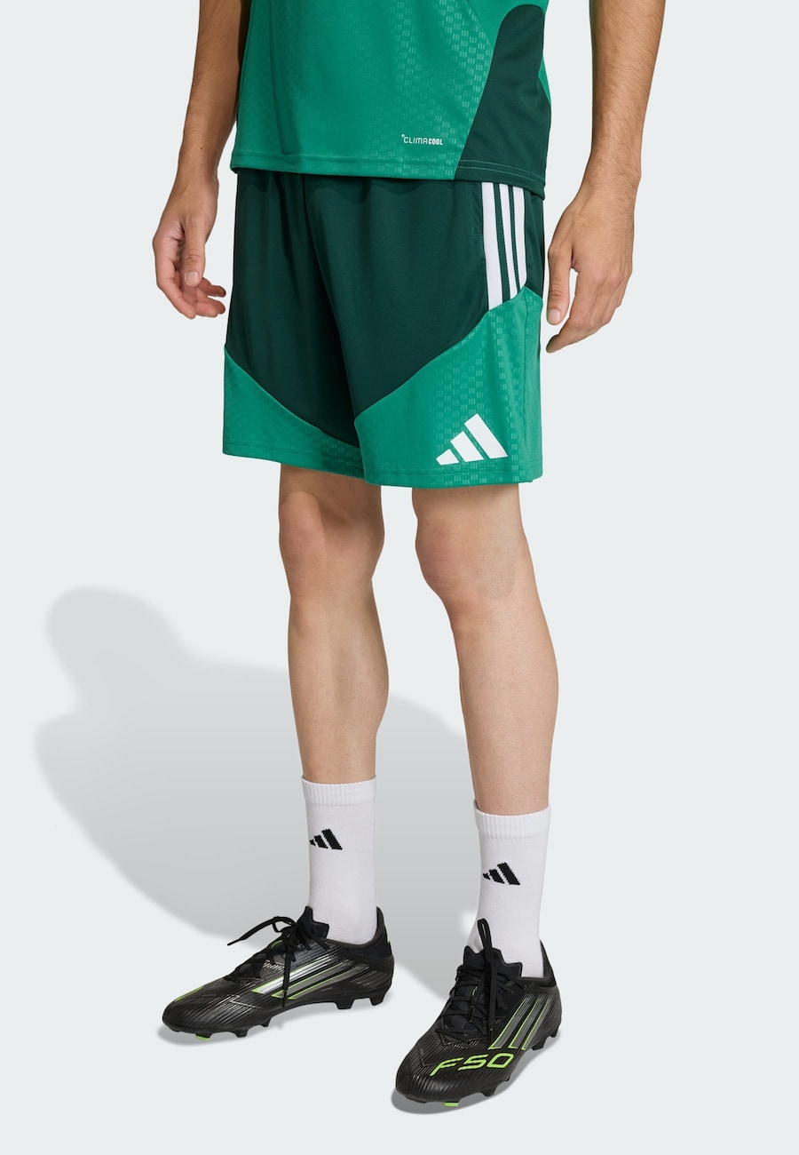 Обычные спортивные штаны ADIDAS PERFORMANCE Algerien 26, зеленый/темно-зеленый — фото 2