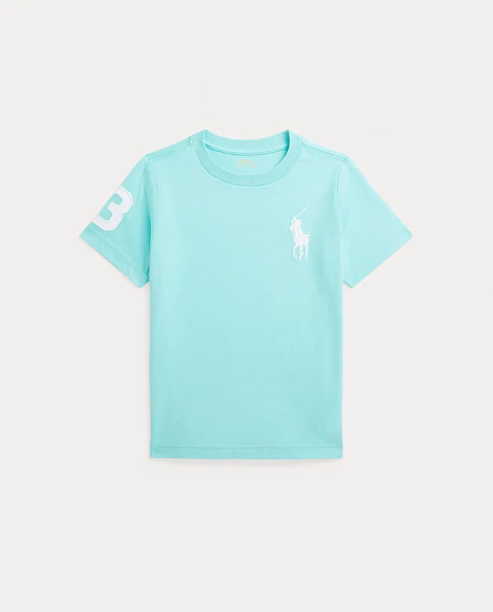 

Футболка из хлопка для мальчика с Большим Пони Polo Ralph Lauren, голубой