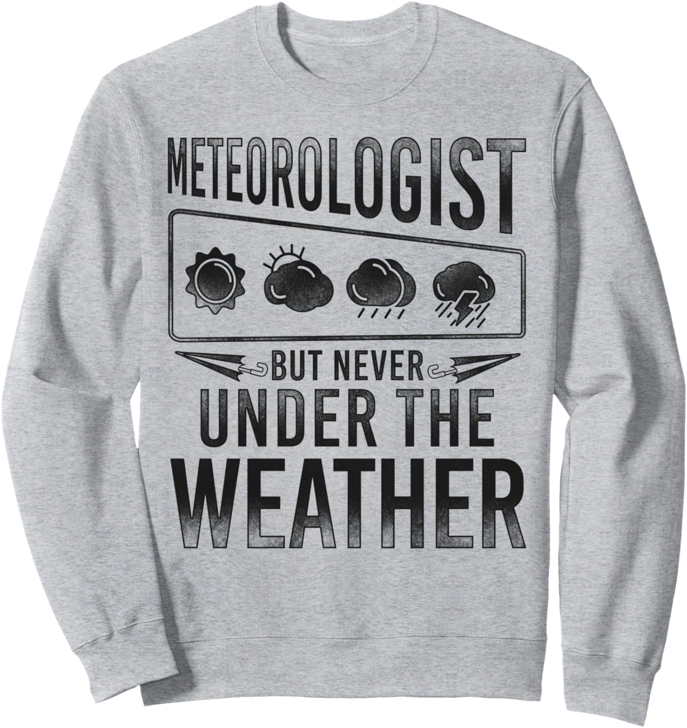 

Метеоролог, прогноз погоды, метеорологическая игра слов, винтажная толстовка Meteorology Weatherman Weather Forecaster Hd0, серый