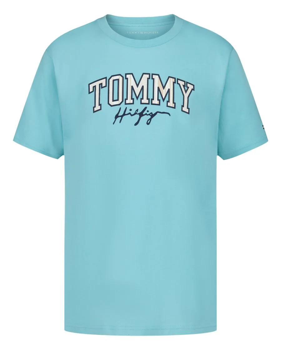Детская футболка с коротким рукавом, размер 2T-7 Tommy Hilfiger, Amazonite