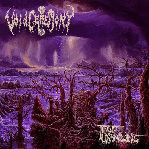 

CD диск Voidceremony: Threads Of Unknowing