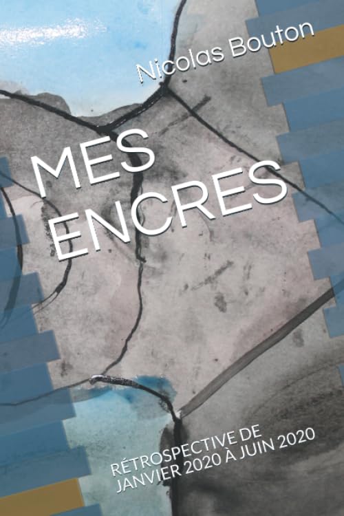 

MES ENCRES: RÉTROSPECTIVE DE JANVIER 2020 À JUIN 2020 (French Edition)