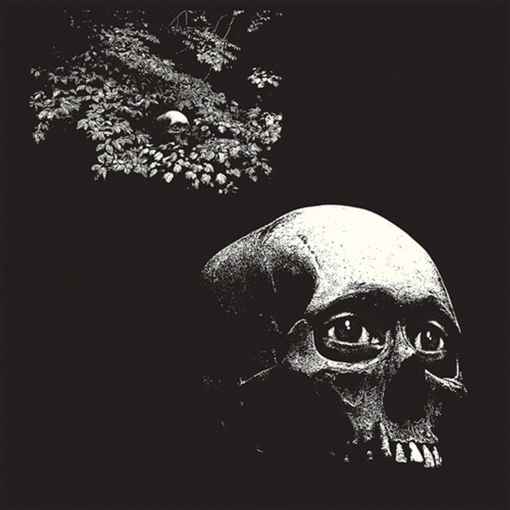 

Виниловая пластинка LP A Foul Form - OSEES
