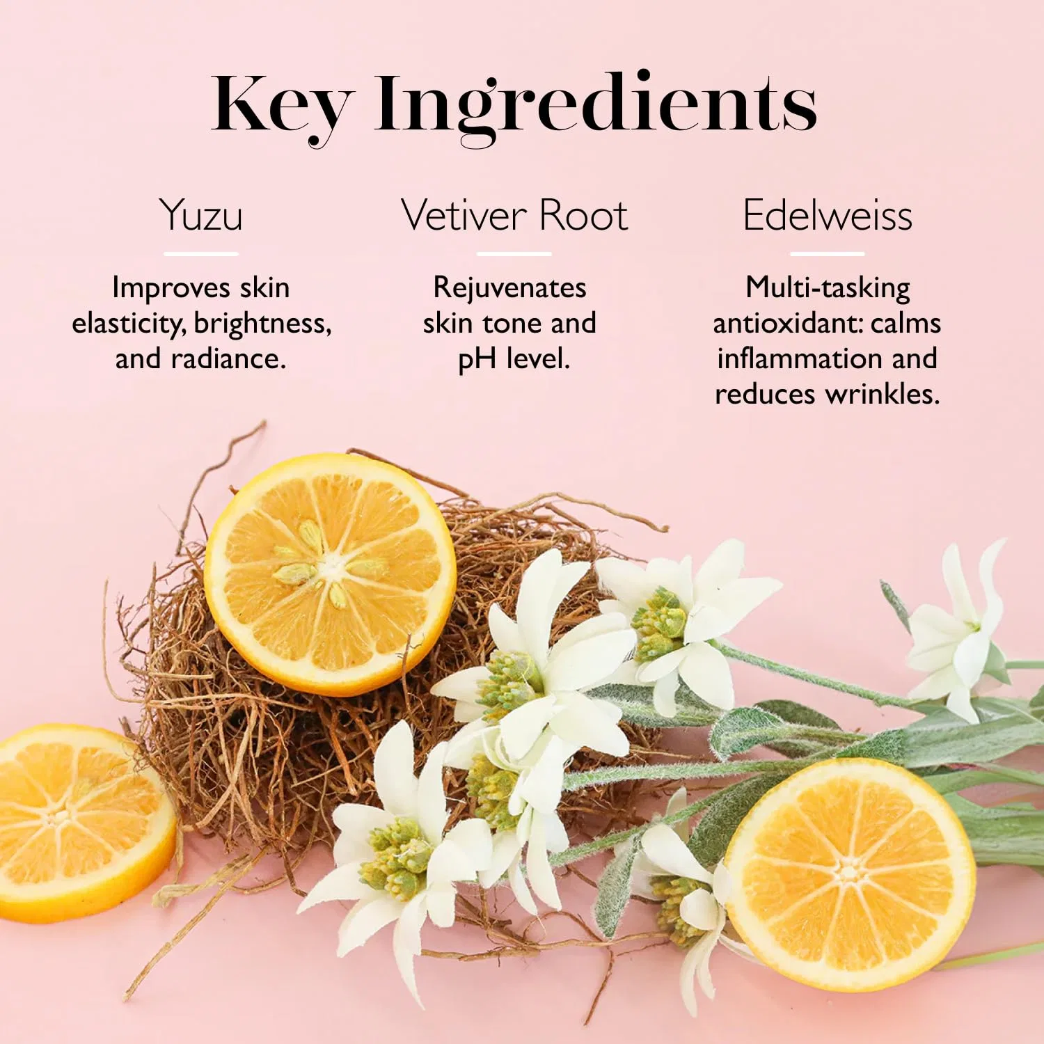 Губка-буфер Spongelle Wild Flower - Coconut Herb Spongellé — фото 4