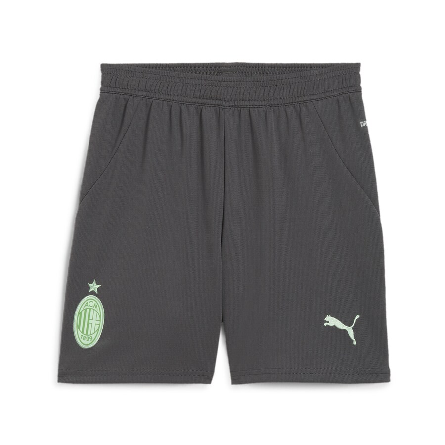 

Обычные спортивные штаны PUMA AC Milan 24/25, темно-серый