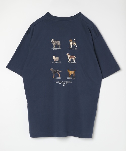 

Футболка с графическим принтом, короткий рукав GLOBAL WORK, синий