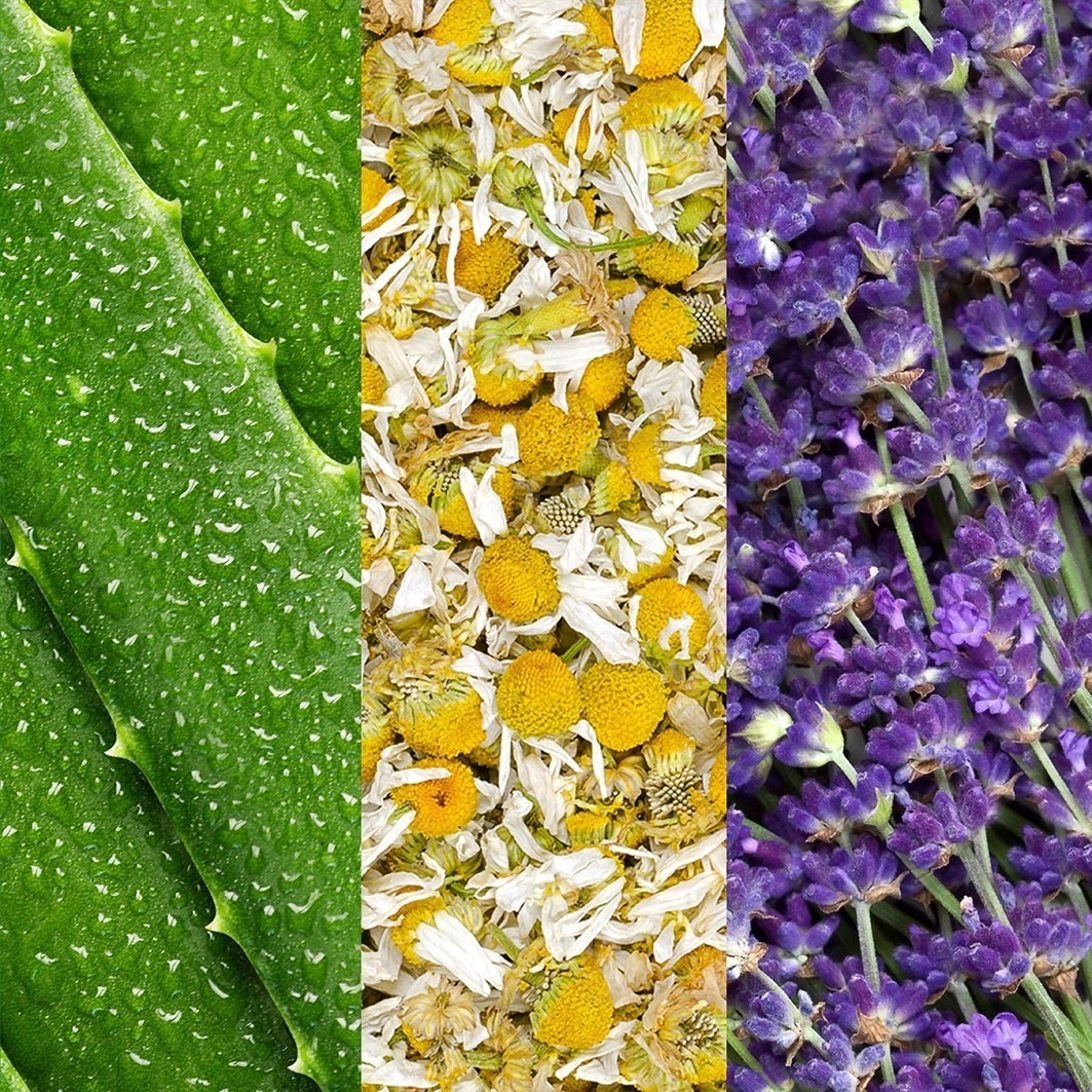 Спрей для лица Mario Badescu Facial Spray Aloe, Chamomile & Lavender, 118 мл — фото 2