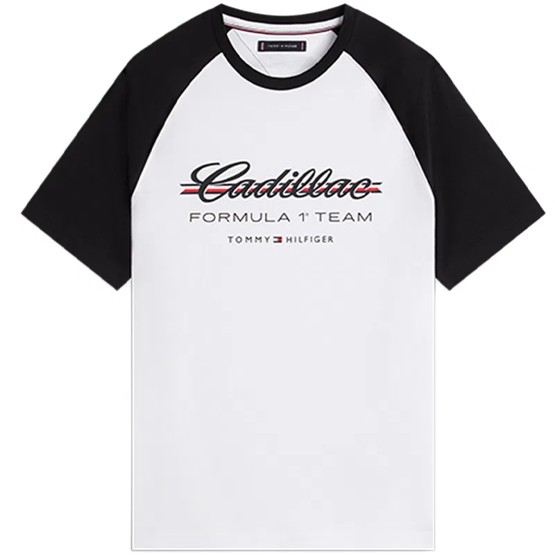 Футболка мужская с круглым вырезом Moderate Tommy Hilfiger, White YBR