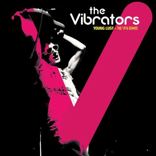 

Виниловая пластинка Vibrators - Demos 1976