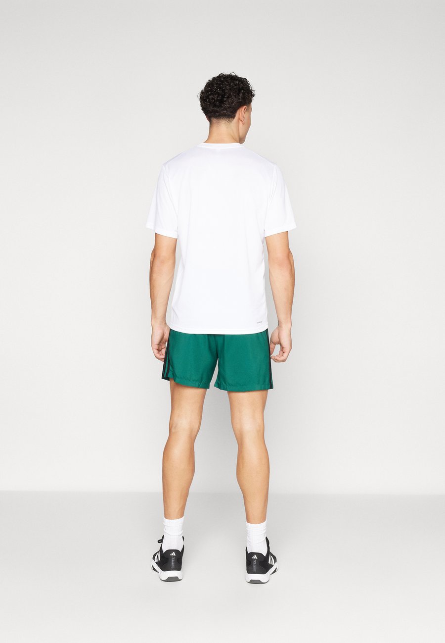 Спортивные шорты Adidas Sportswear CHELSEA, Collegiate Green/Black/Green — фото 3