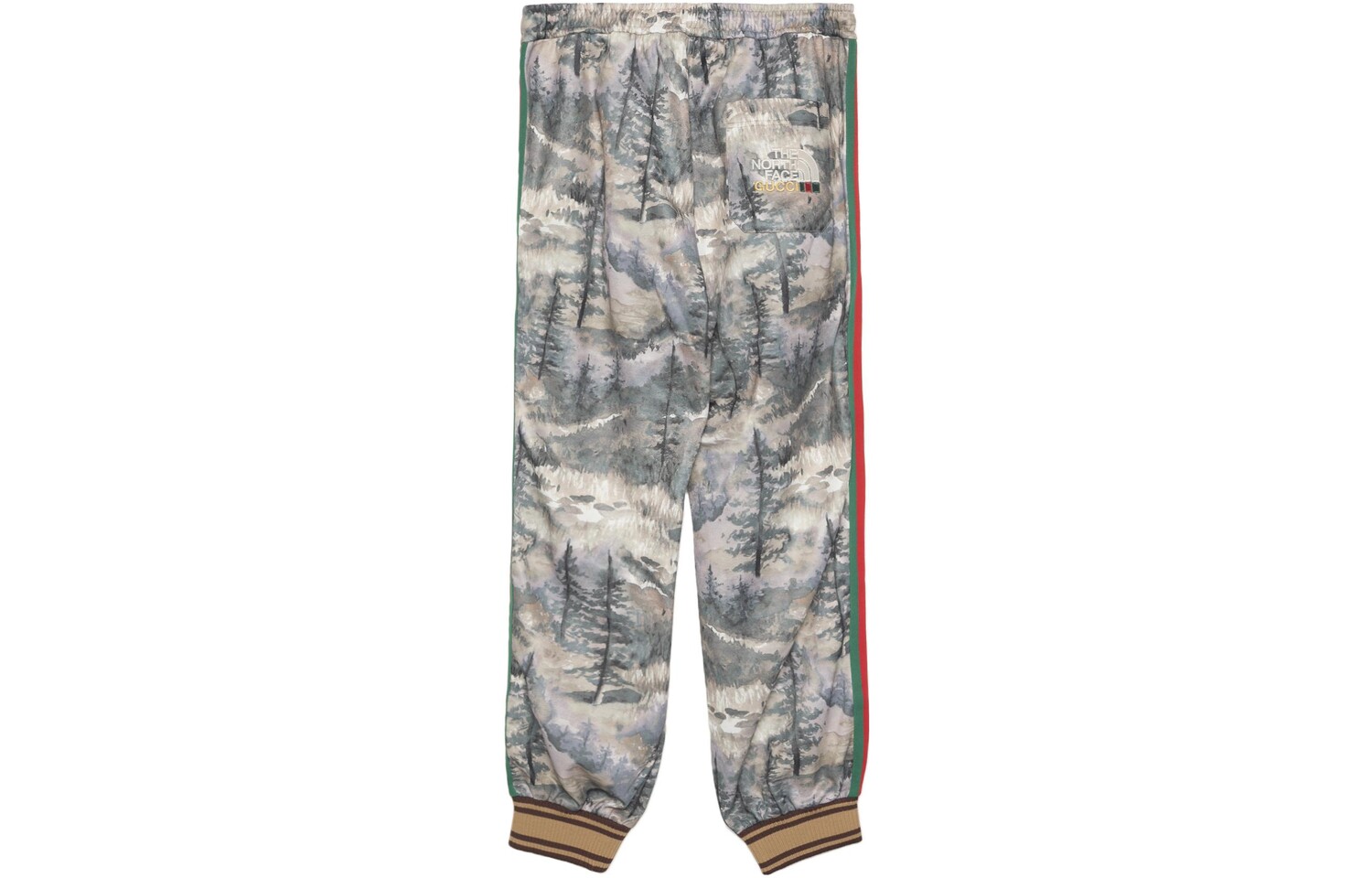 Спортивные штаны North Face X The North Face мужские, трикотажные, Gucci, Multicolor — фото 2