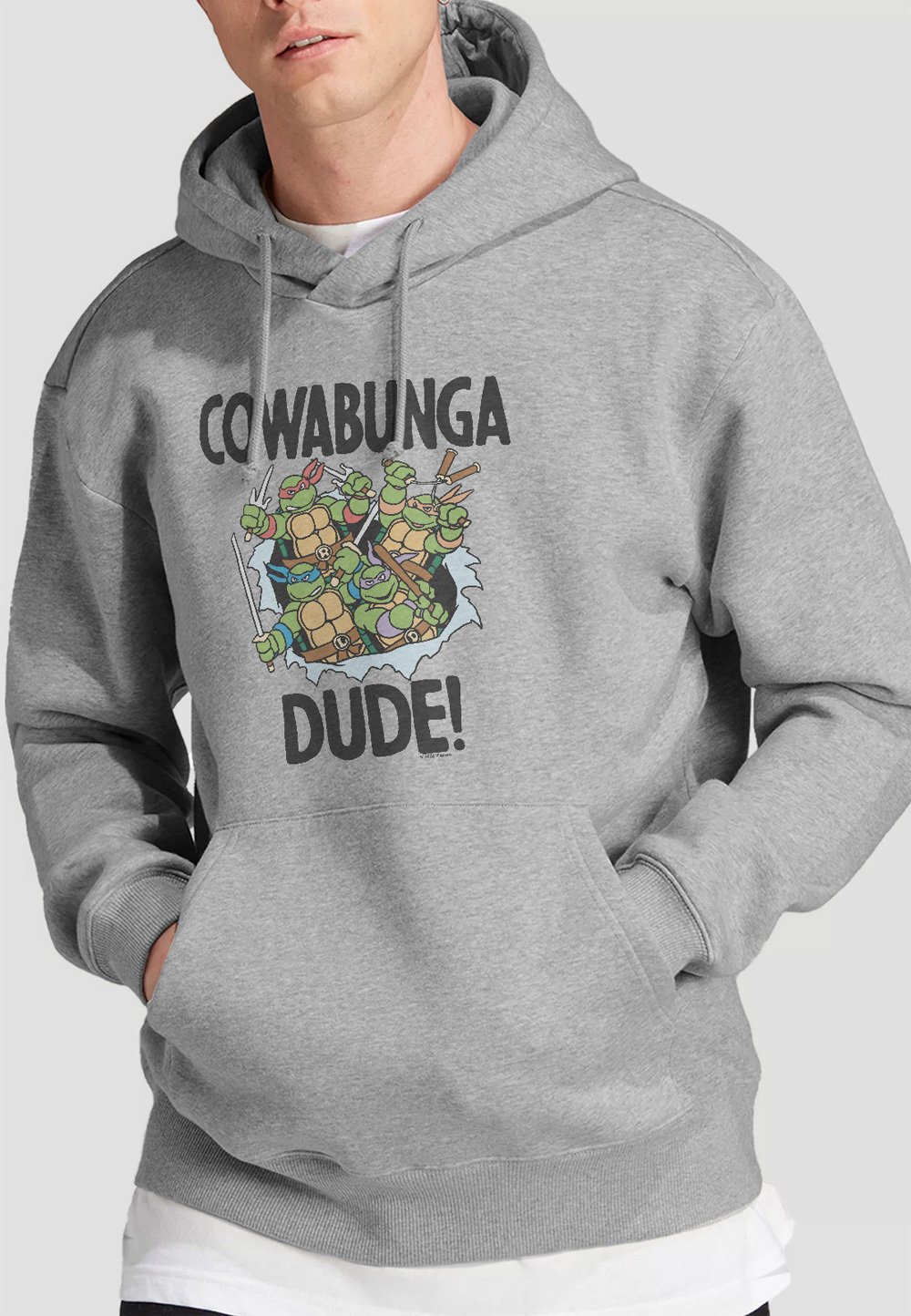 

Толстовка TMNT COWABUNGA DUDE PF Cotton Soul, серый