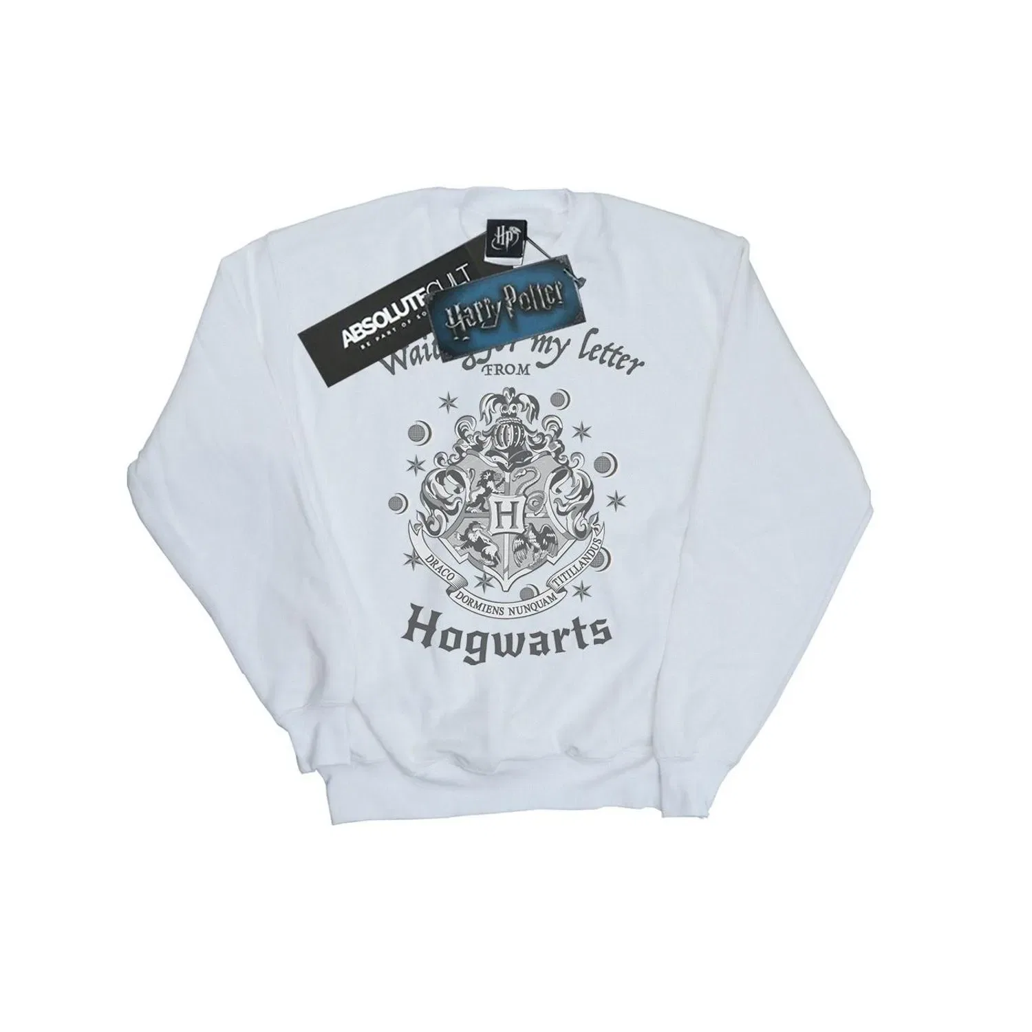 Свитшот с гербом Хогвартса Harry Potter, белый — фото 2