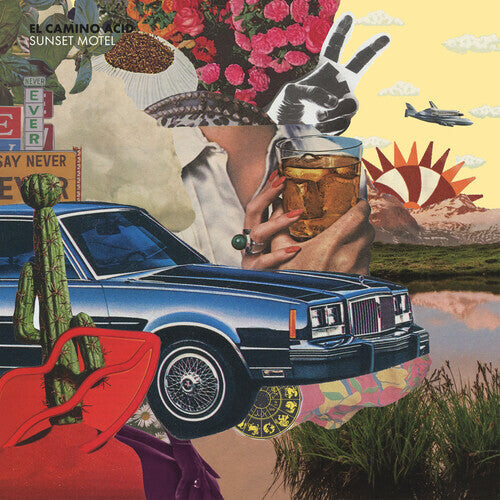

Виниловая пластинка El Camino Acid: Sunset Motel (Orange)