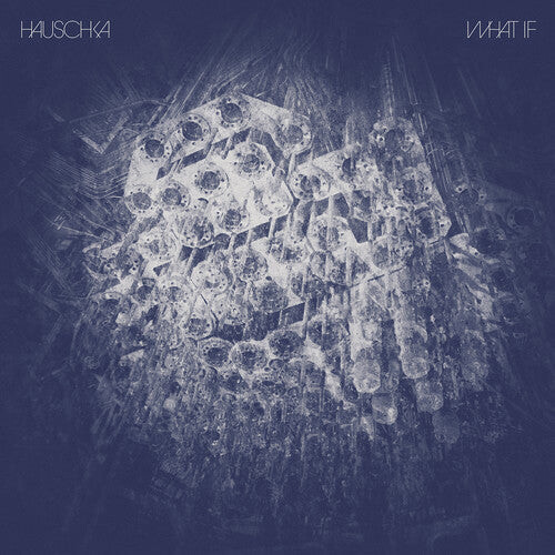 

Виниловая пластинка Hauschka: What If
