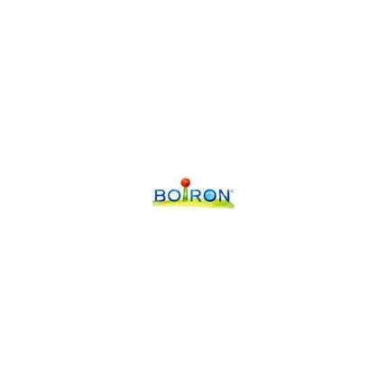 

Туя Западная 200 Ch Globules Boiron