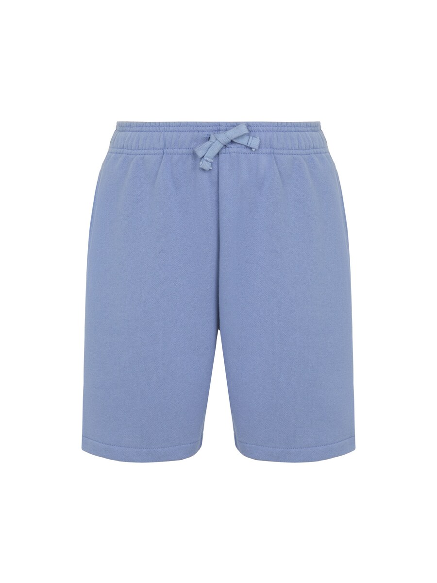 

Обычные брюки DICKIES MAPLETON, лазурный
