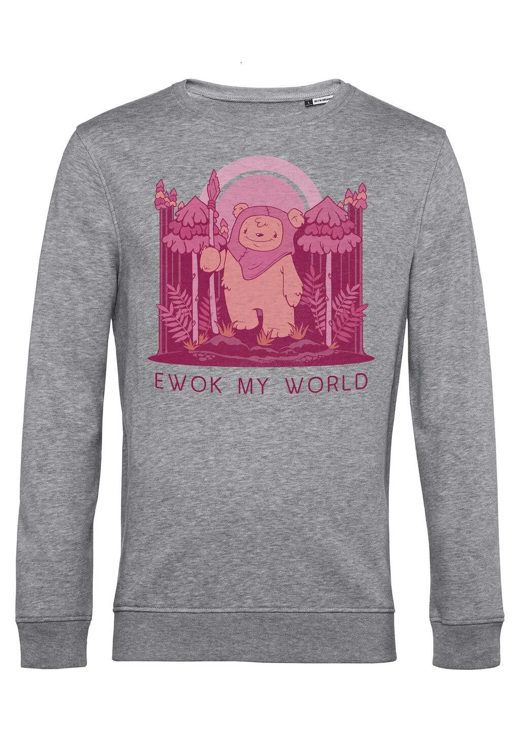 

Толстовка STAR WARS CLASSIC EWOK MY WORLD Star Wars, цвет Mottled Light Grey