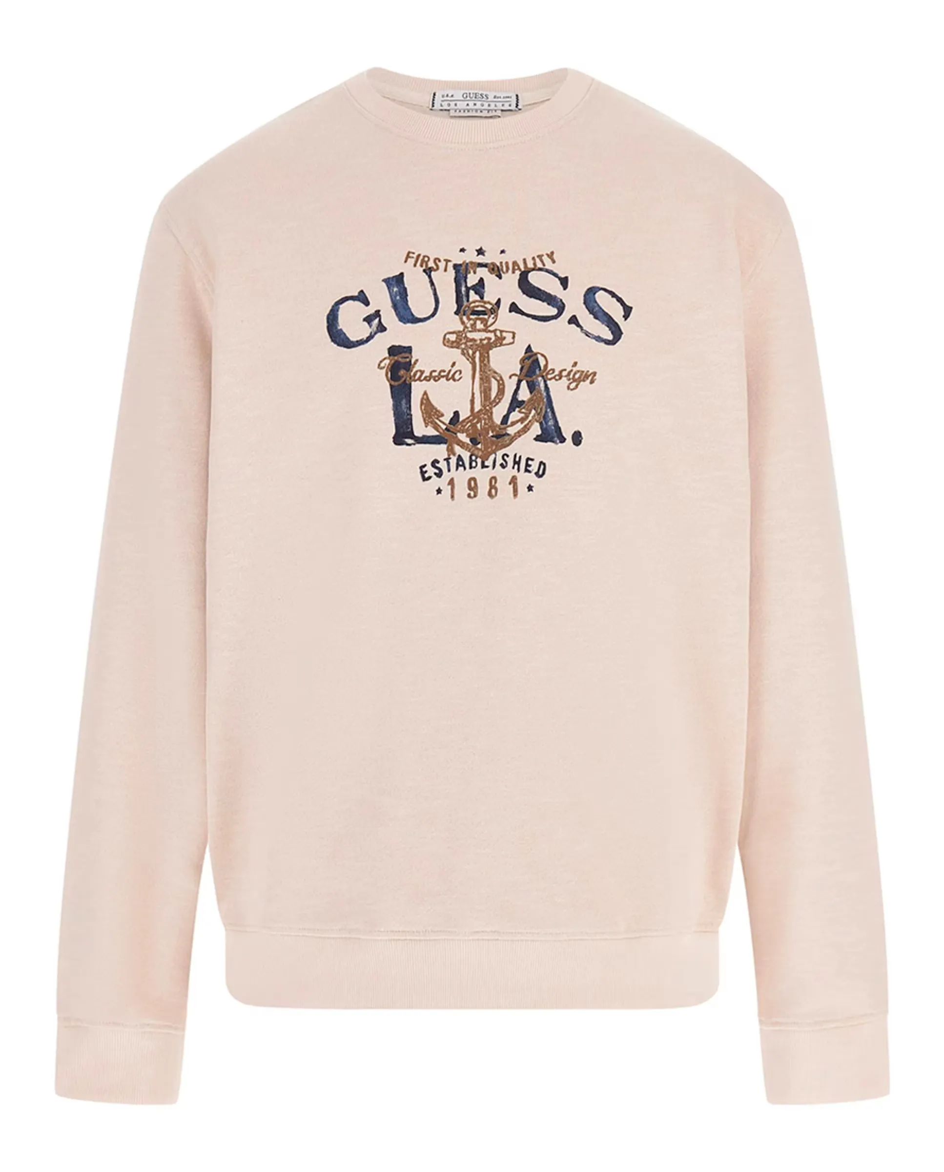 

Мужская толстовка с длинным рукавом Guess, мультиколор