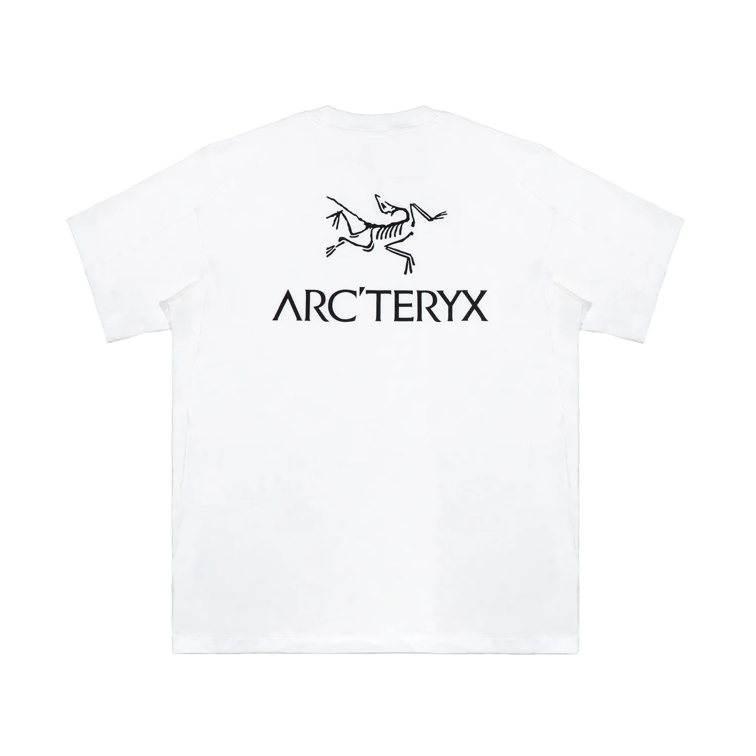 Arcteryx Футболка KRAGG Unisex тонкая прямая посадка с круглым вырезом цвет Ivory White/Black/White Light/Black — фото 2