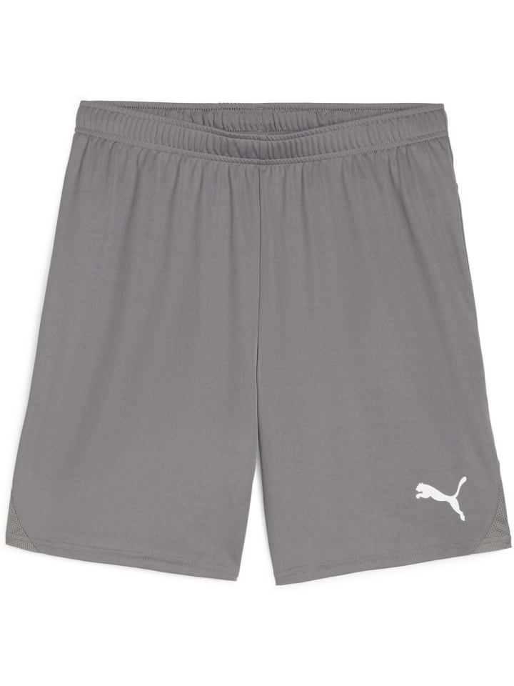 

Спортивные шорты TeamGoal Shorts серого цвета Puma