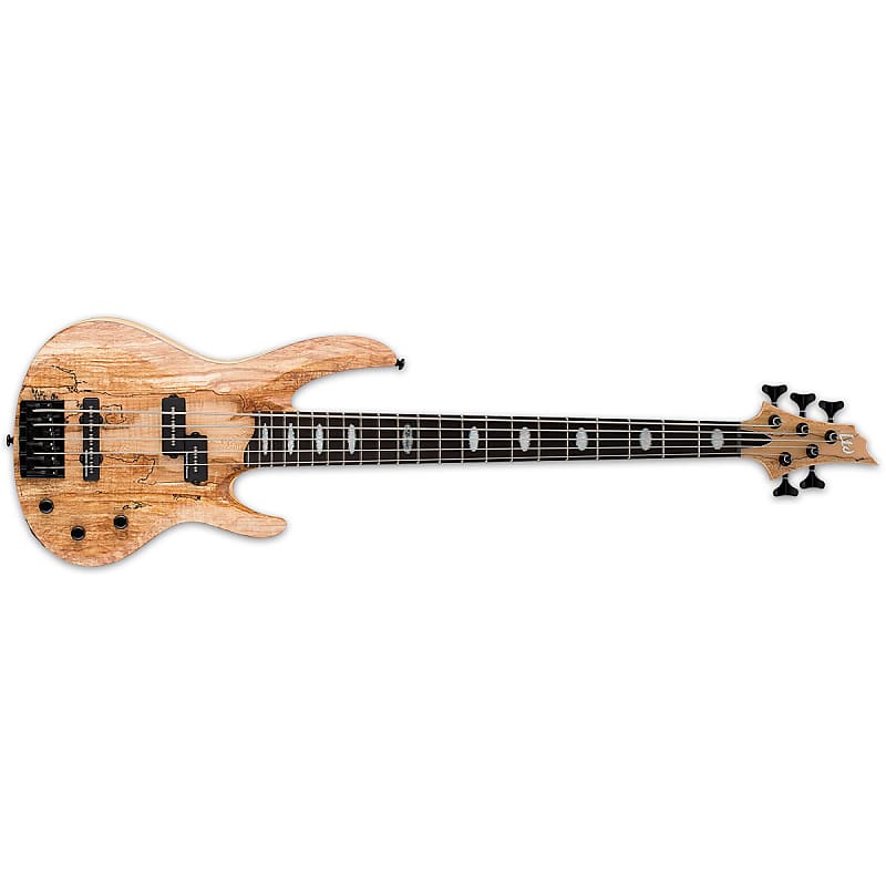 

Басс гитара ESP LTD RB-1005SM Natural Satin NS 5-String Electric Bass + Free Gig Bag RB1005SM RB 1005 SM Rocco