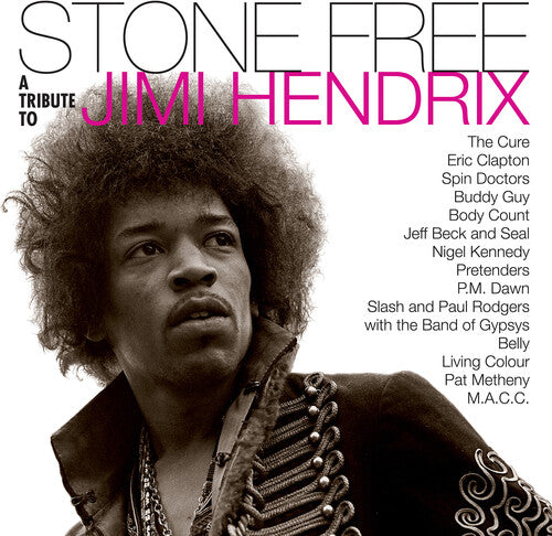 

Виниловая пластинка Hendrix, Jimmy Tribute: Stone Free: Jimi Hendrix Tribute