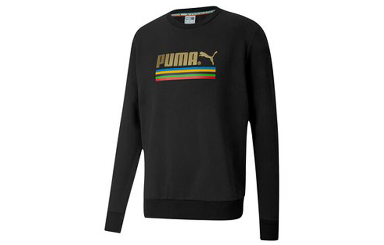 

Мужская толстовка Puma, цвет Black
