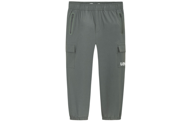 

Брюки-карго для начальной школы Levis, Dark Shadow Green