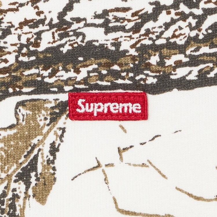 Спортивные брюки Supreme Small Box 'Snow Camo', разноцветный — фото 3