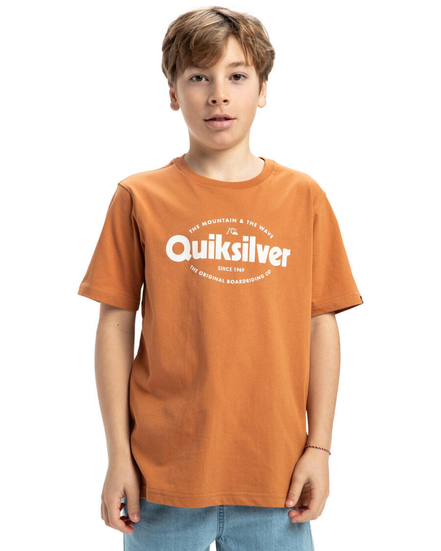 

QUIKSILVER Футболка EV SHAPE ALL DAYS коричневая для мальчиков