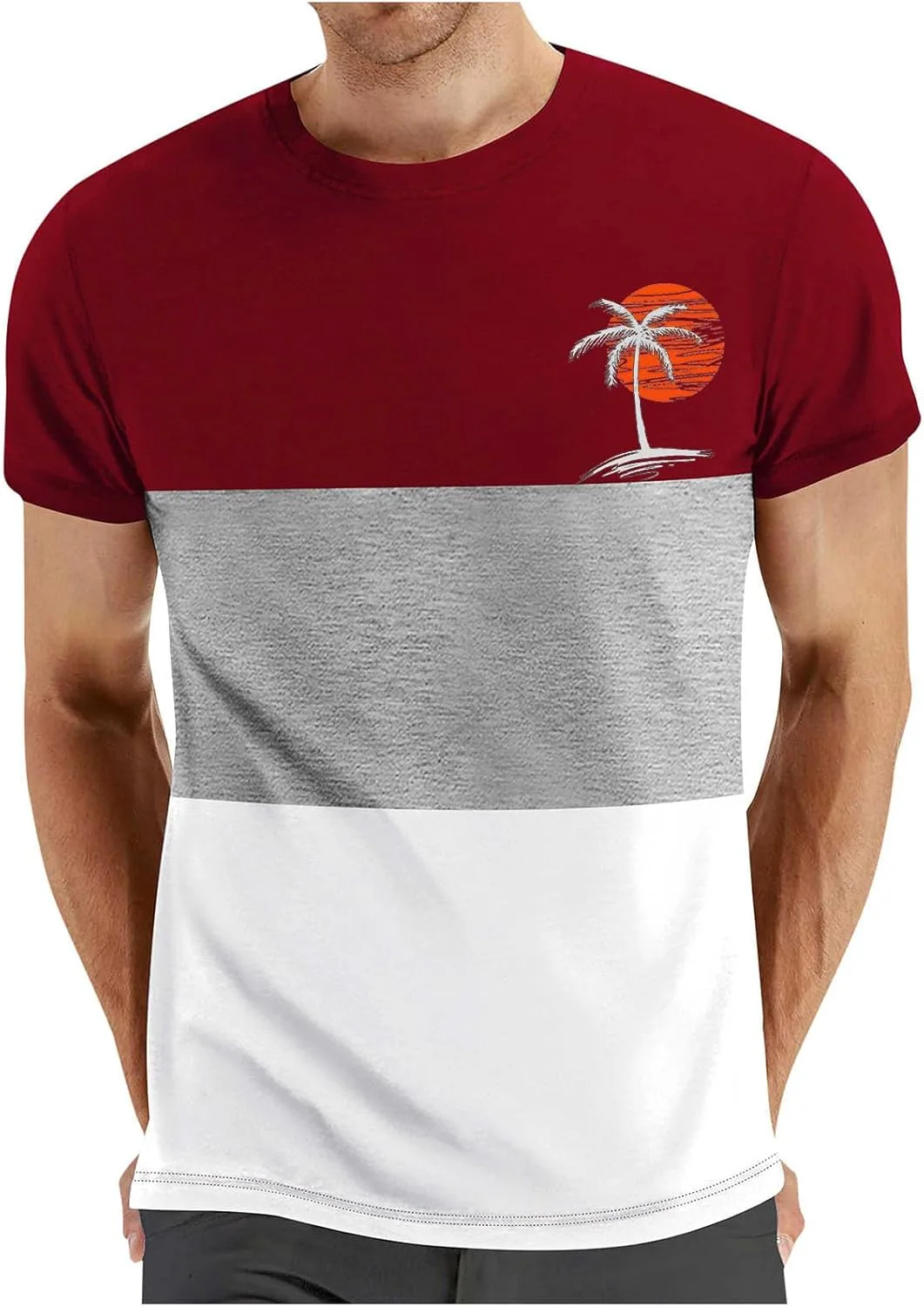 

Мужская футболка с принтом Coconut Palm, цветной блок, короткий рукав, Regular Fit
