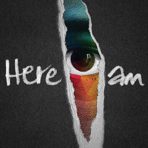 

CD диск Groundation: Here I Am