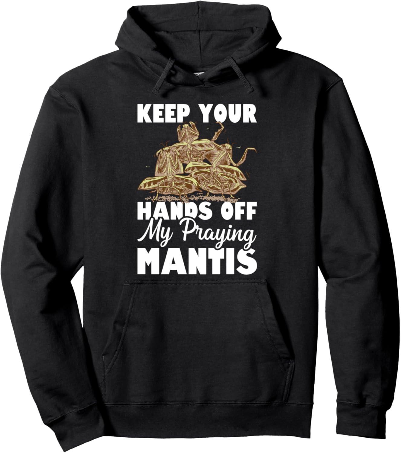 

Энтомолог, любитель насекомых, толстовка с капюшоном Praying Mantis Shirt, черный