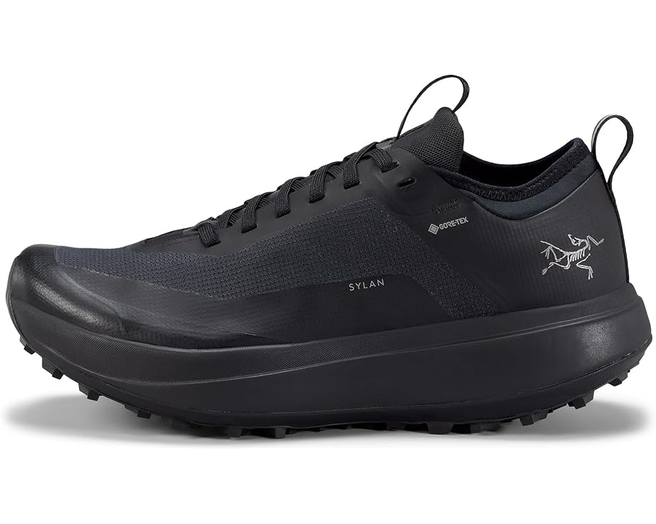 

Кроссовки Arc'teryx Sylan GTX, цвет Black/Black