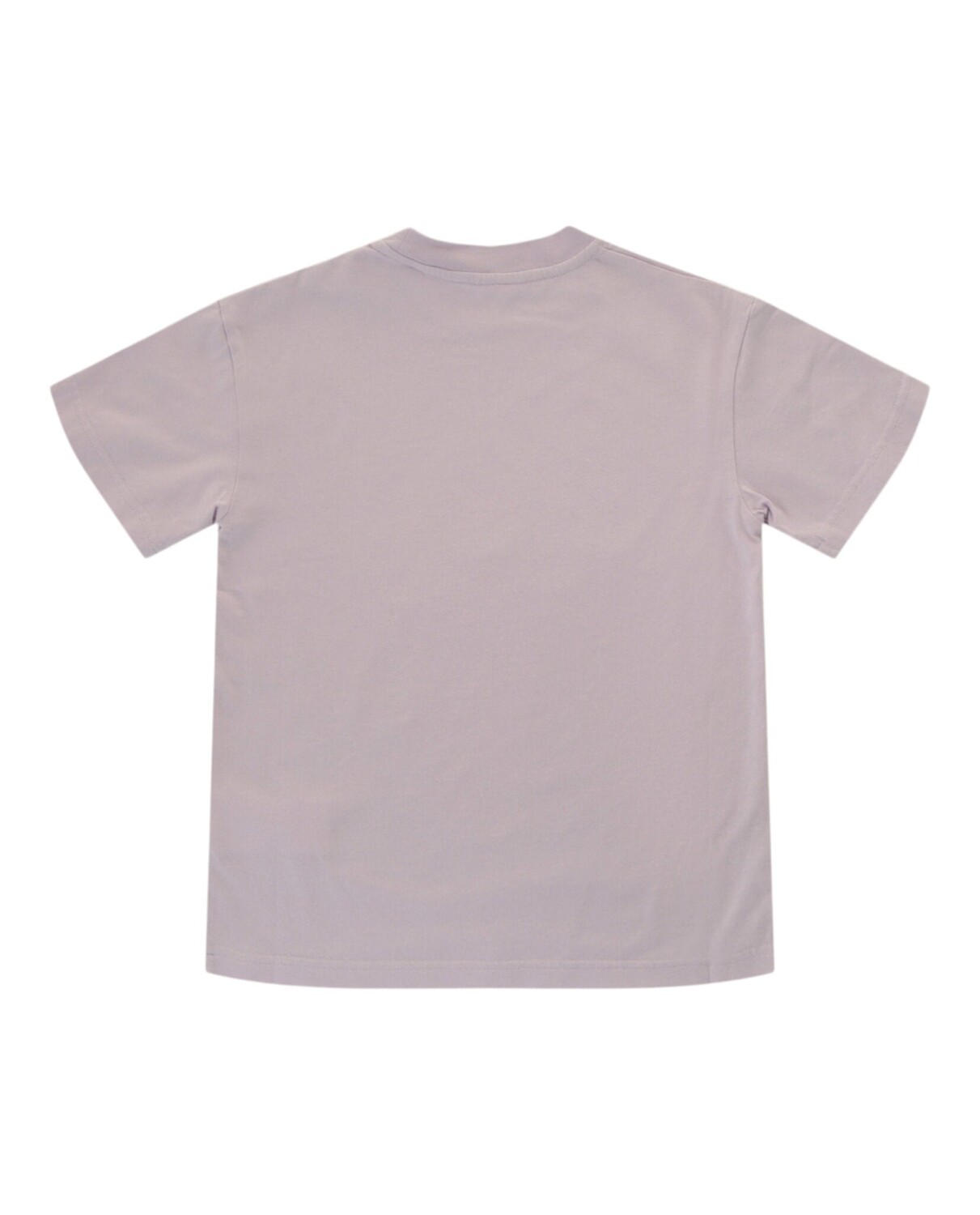 

Футболка с медведем Palm Angels, цвет Lilac Brown