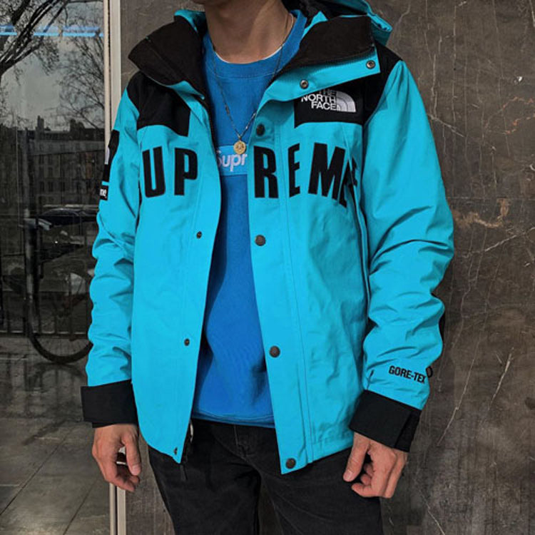 Куртка Supreme SS19 x The North Face Arc Logo Mountain Parka LightBlue SUP-SS19-551, синий — фото 4