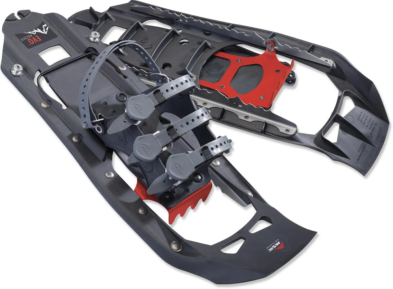 

Снегоступы Evo Ascent - Мужские MSR, Stone Gray