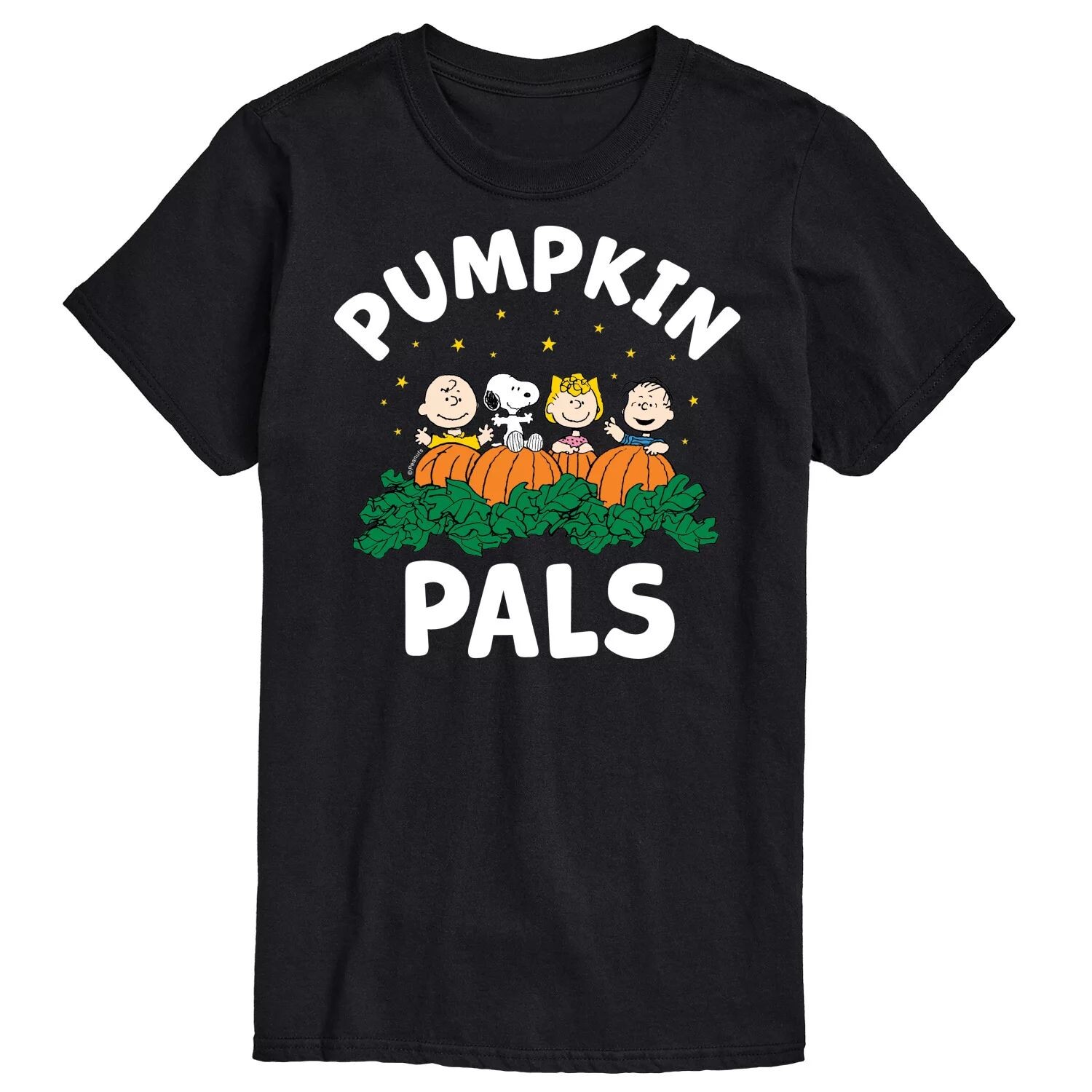 

Футболка Big & Tall Peanuts Pumpkin Pals Licensed Character, черный