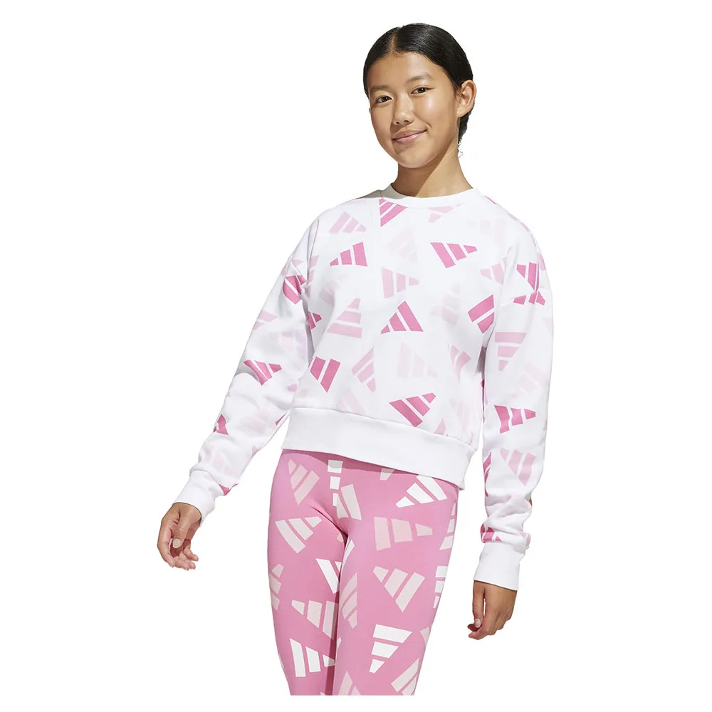 

Толстовка adidas Seasonal Essentials Logo Celebration Fleece, белый