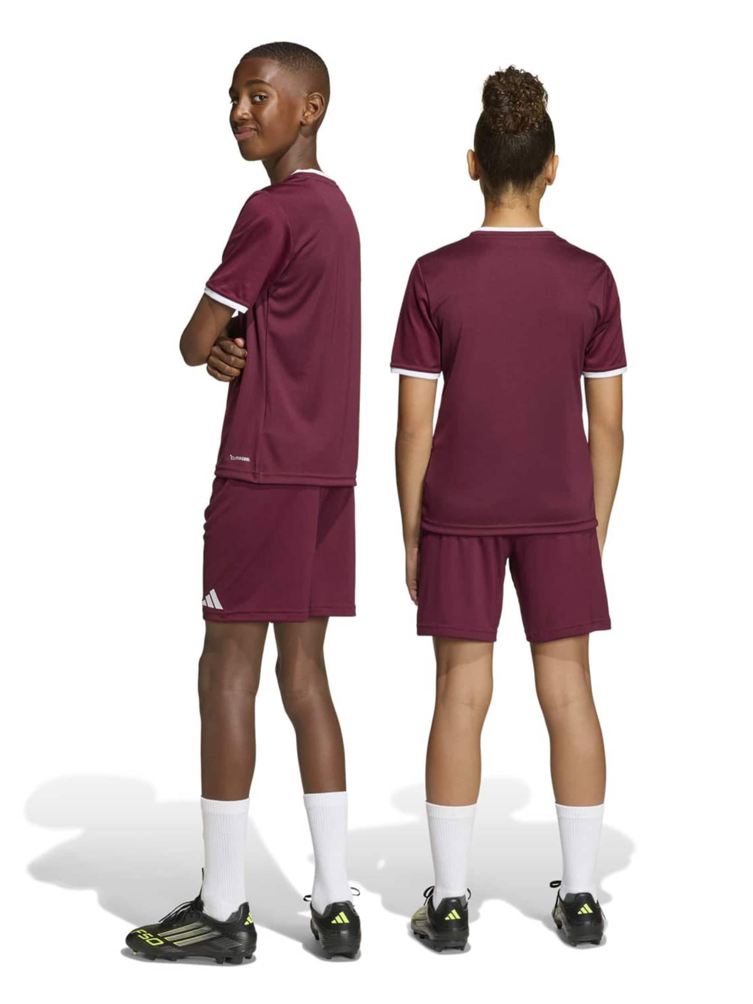Adidas Performance Шорты для тренировок Regular 'ENT26' в цвете Бордо — фото 3