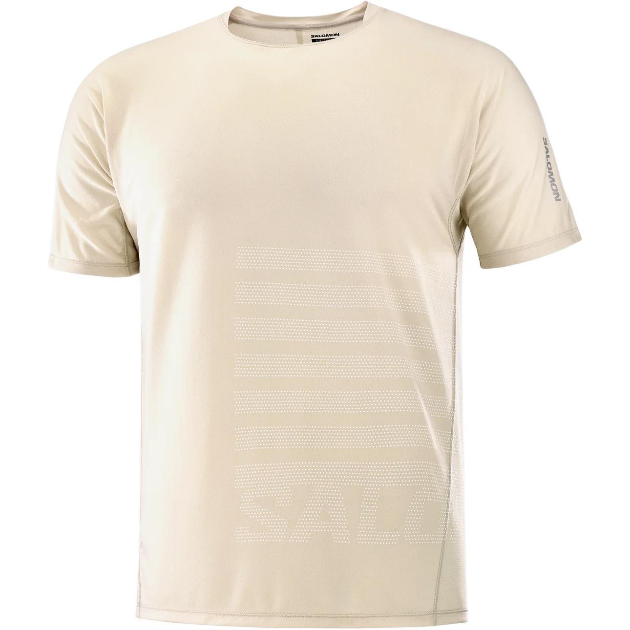 

Футболка мужская Salomon Sense Aerographic Ecru